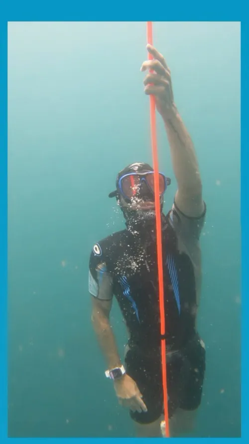 Apnea a 20 m