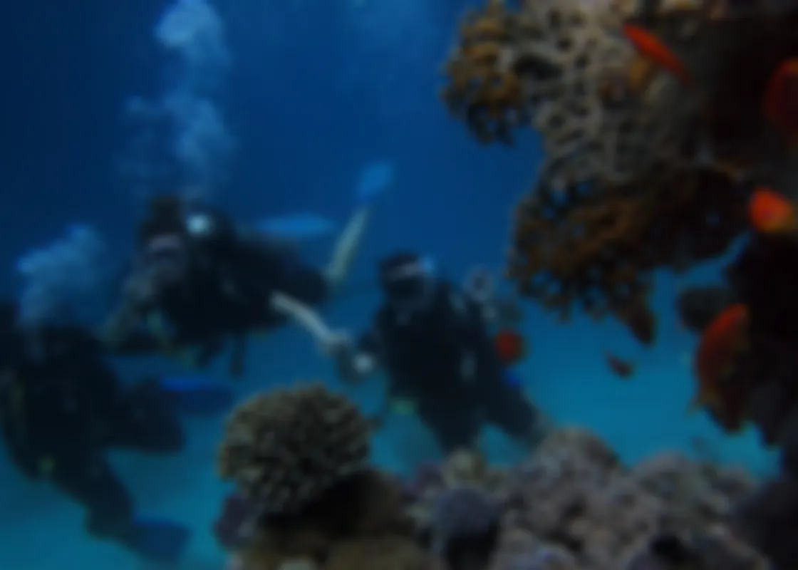 Buceo Safari Pasadía