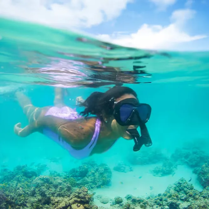 Snorkeling para acompañantes